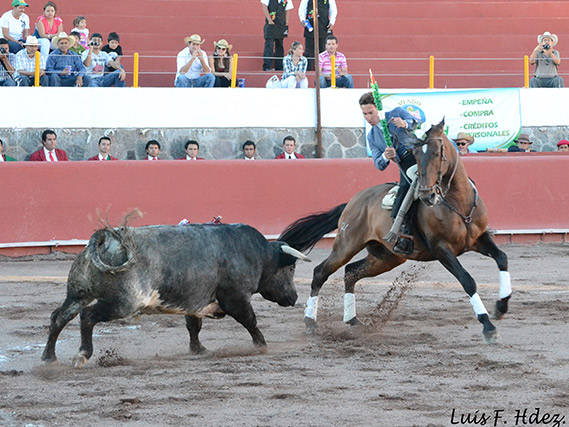 Leonardo, en maestro