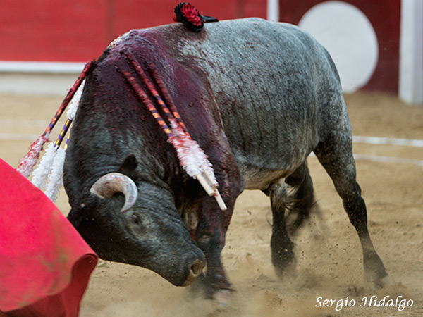 Piedras Negras, tarde cuesta arriba