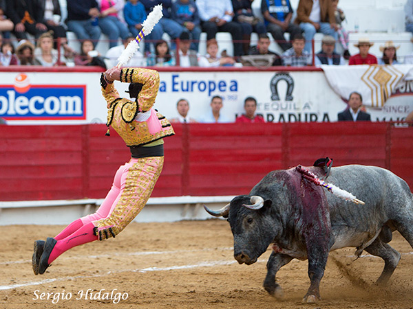 El vuelo de el Chihuahua