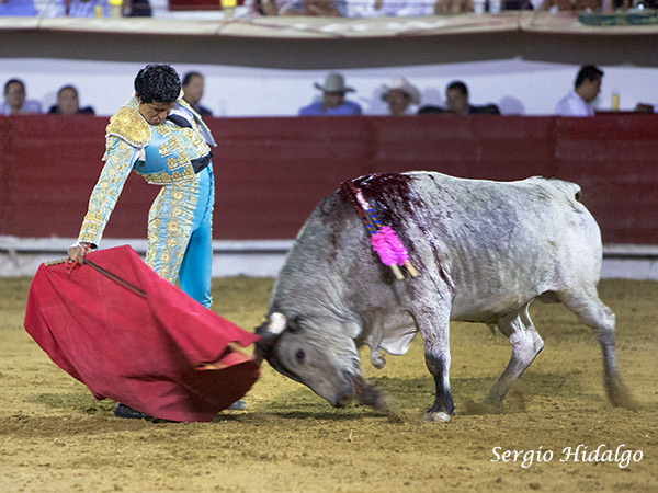 Angelino, sacando la casta