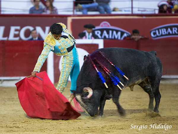 Mostrando su calidad