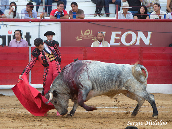 Templando la embestida