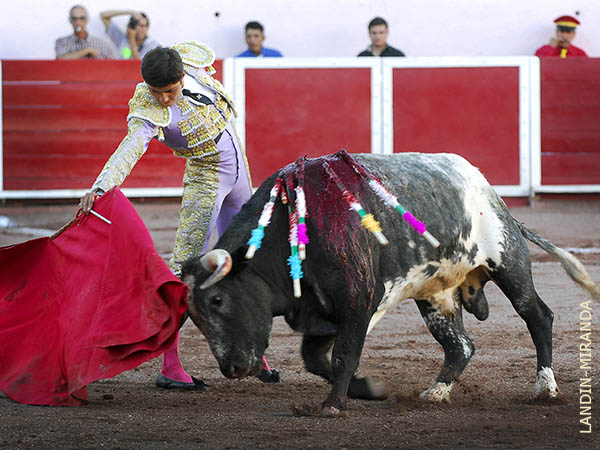 La faena fue creciendo en arte