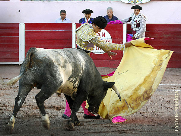 Amplio repertorio de capote