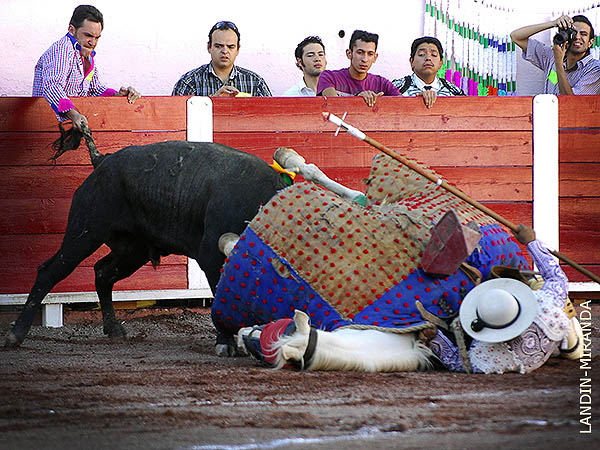 Al auxilio desde el callej�n