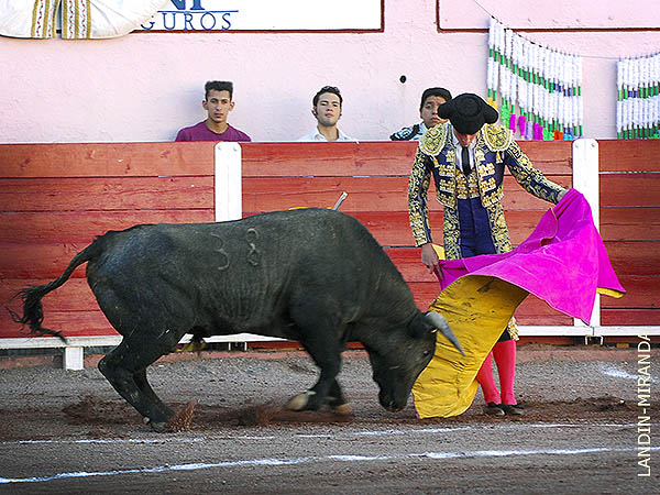Curro, elegante en las ver�nicas