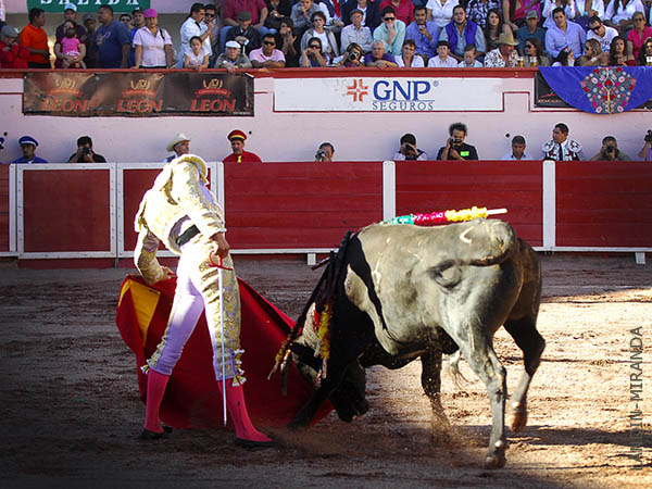 Se caracteriz� por la gran voluntad