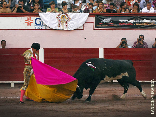 Dibuj� est�ticas ver�nicas