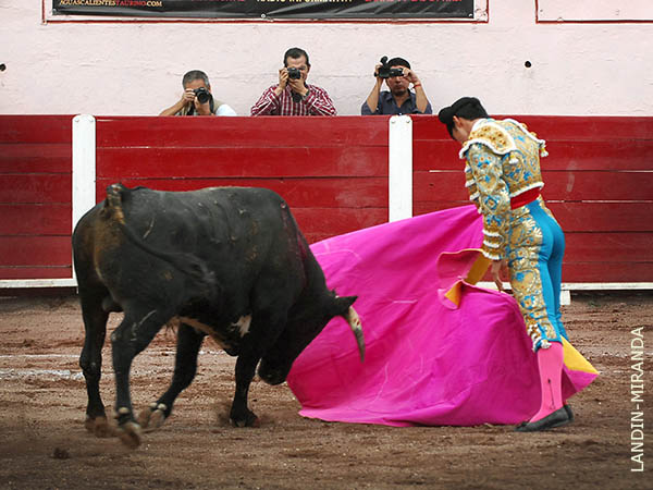 Agradables lances a la ver�nica