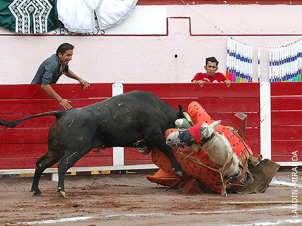 Ceb�ndose con la jaca