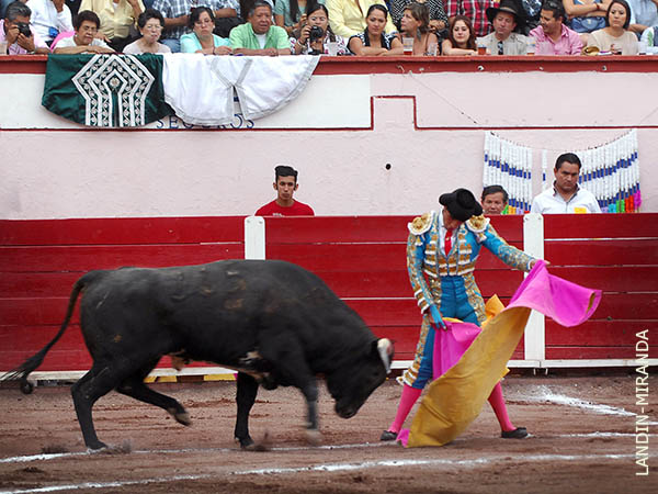 El saludo de Badillo