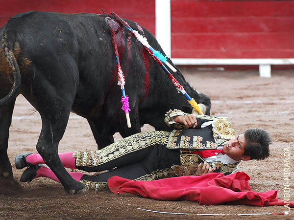 Se llev� una paliza