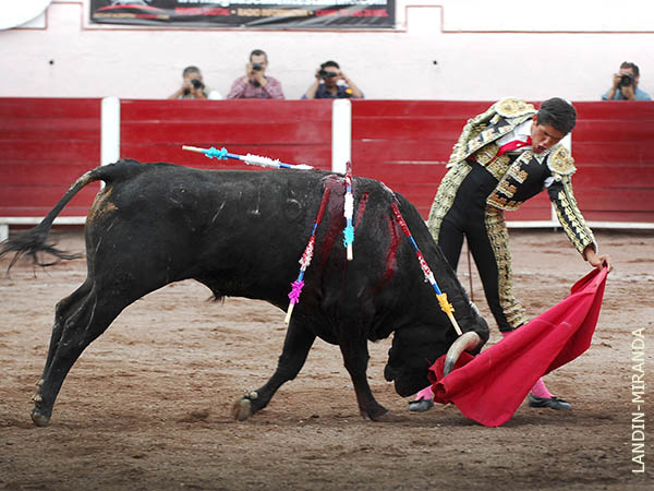 Series que le fueron aquilatadas