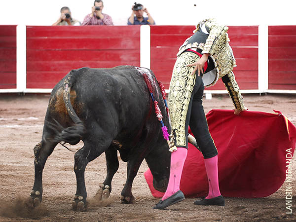 Poco a poco fue sumando