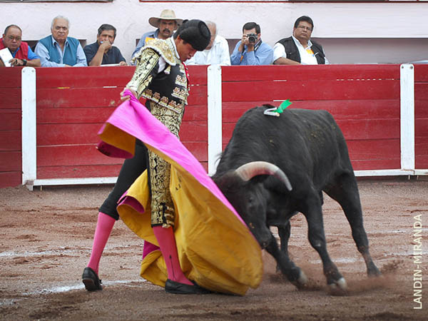 Rosales a la ver�nica