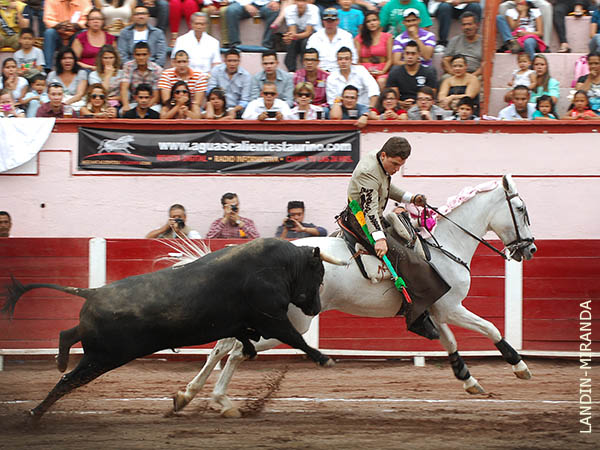 Arreones al cavaleiro