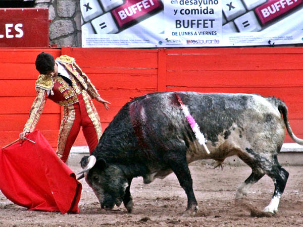 Tirando del ejemplar