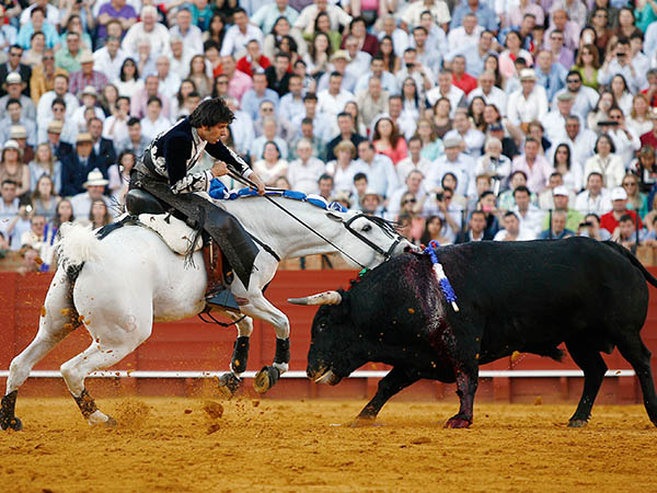 Sus habituales bocados al toro