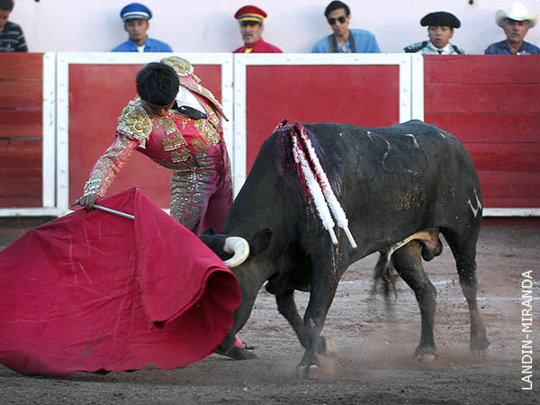 Dibuj� series de mucha solidez