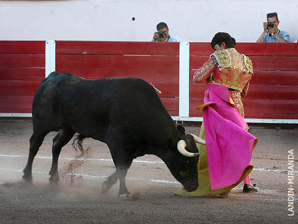 Inmensas ganas de agradar