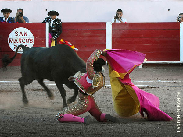Saludo capotero de ALejandro Lima