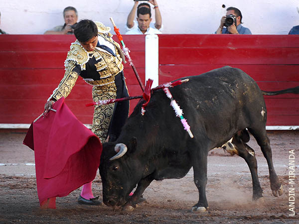 Dominio de las alturas