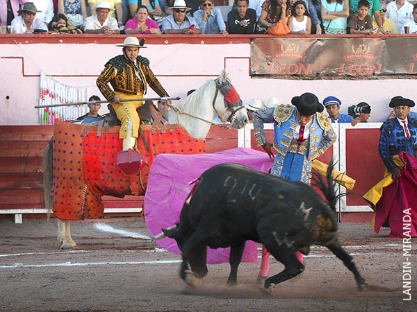 Dej�ndolo al caballo de Juan