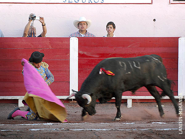 Legorreta disfruta lo que hace