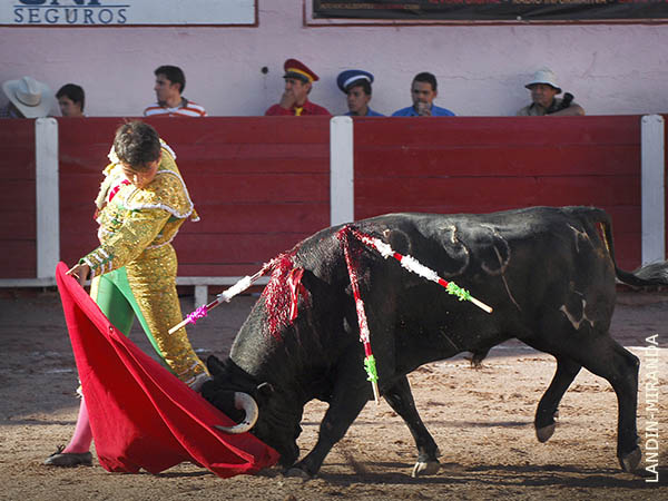 Tirando del ejemplar