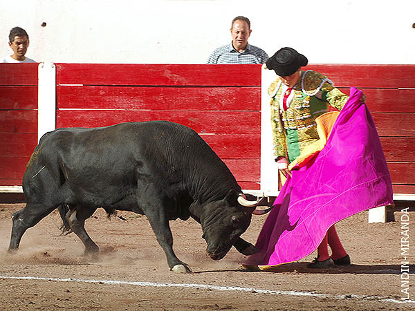 Lances de Luis Miguel Cu�llar