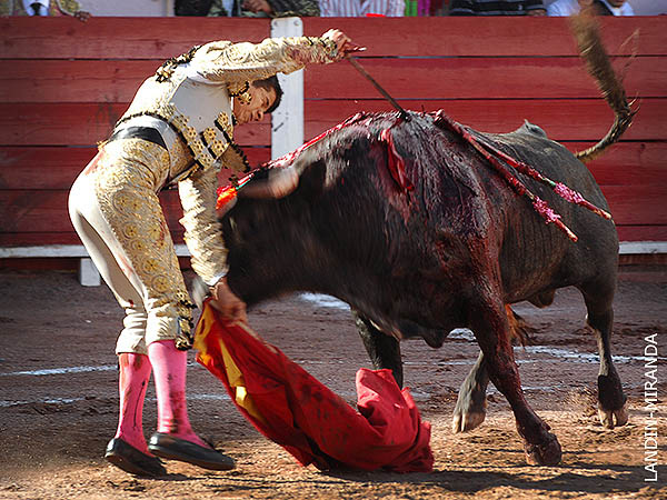 Fractura de maxilar y herida