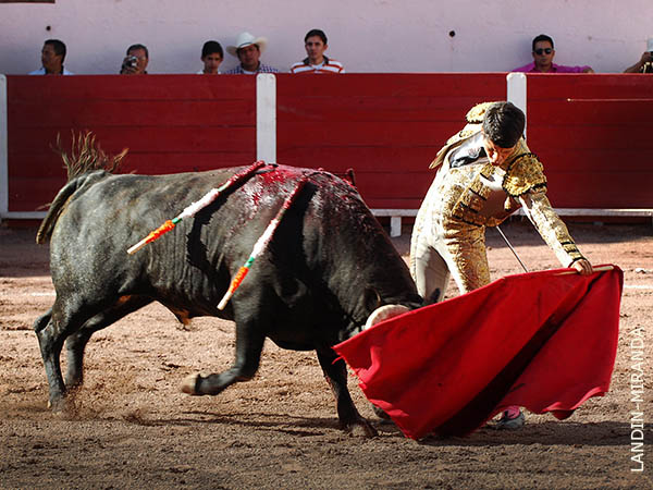 Aquilatado por los conocedores