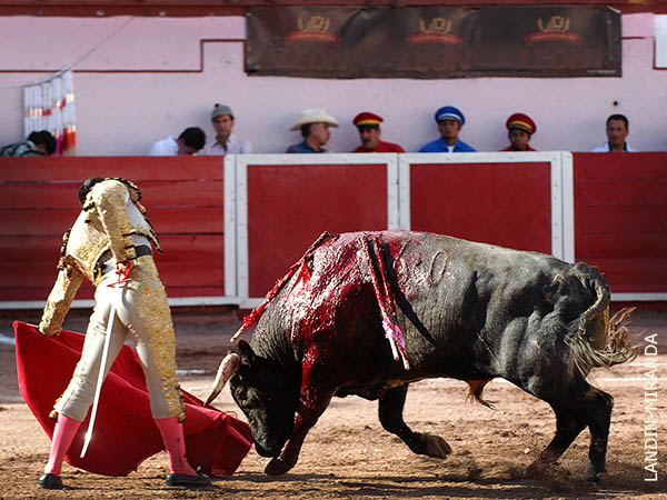 Mostr� sus cartas en los medios