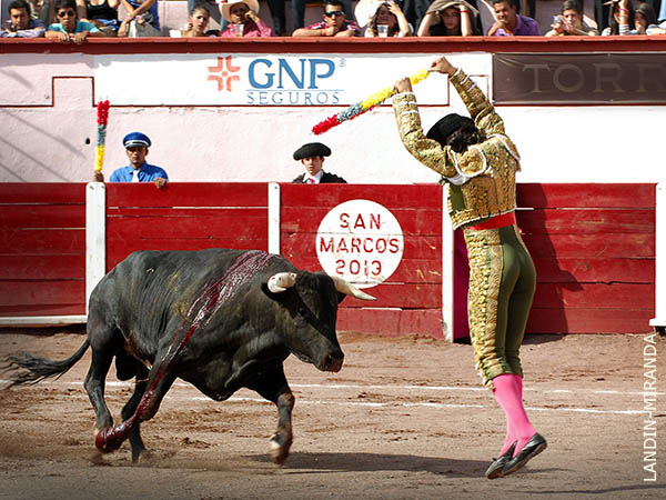 Grandes aptitudes en rehiletes