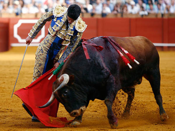 Dej�ndose llegar los pitones