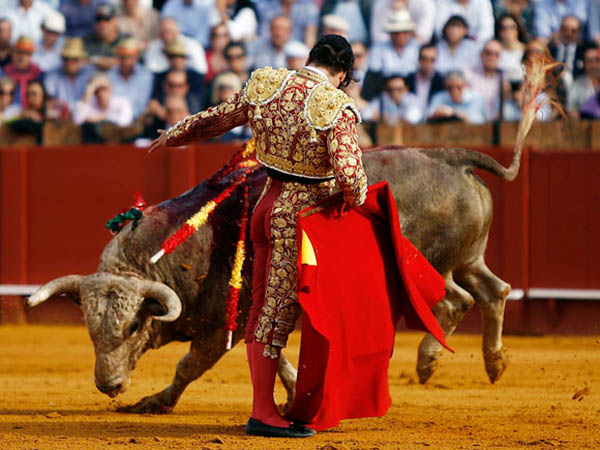 Morante se acerc� al triunfo