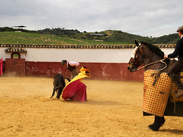 Revolera de colocaci�n