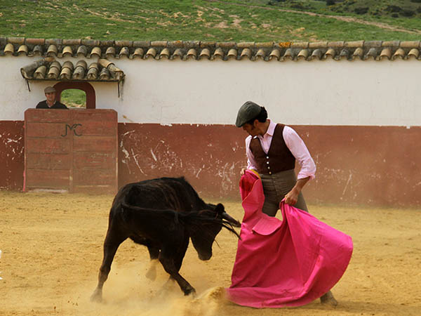 Dejando la erala en los medios