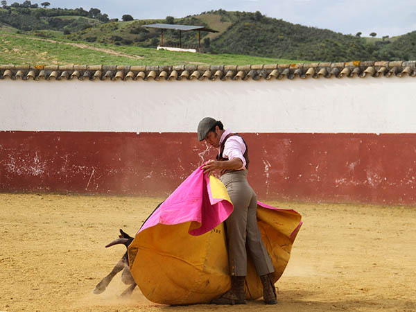 Los vuelos del capote
