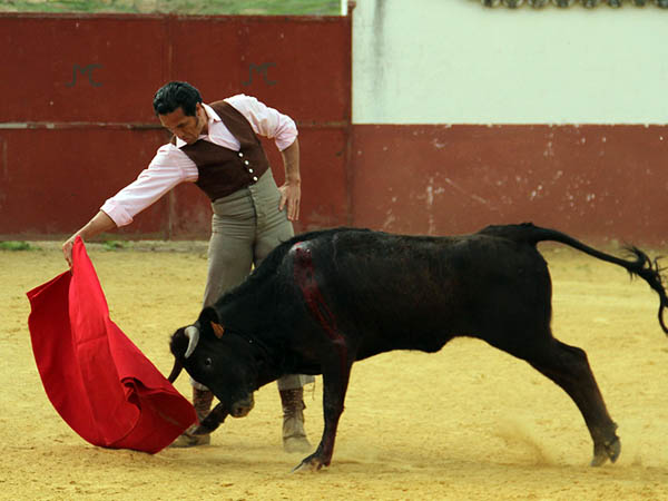 El temple de Alfredo