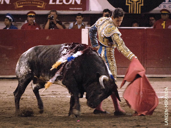 Dosantinas ligadas en los medios