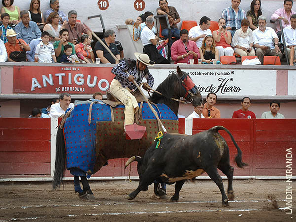 La vara de Dom�nguez