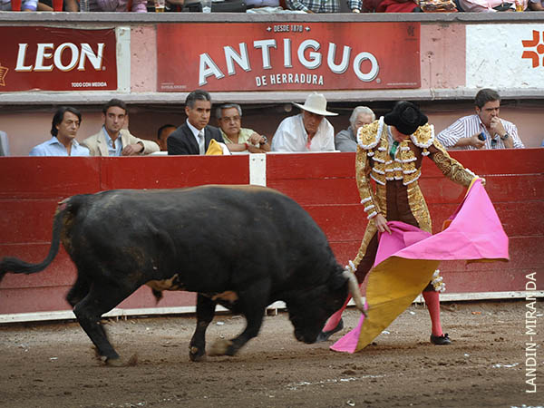 Desmayando los brazos