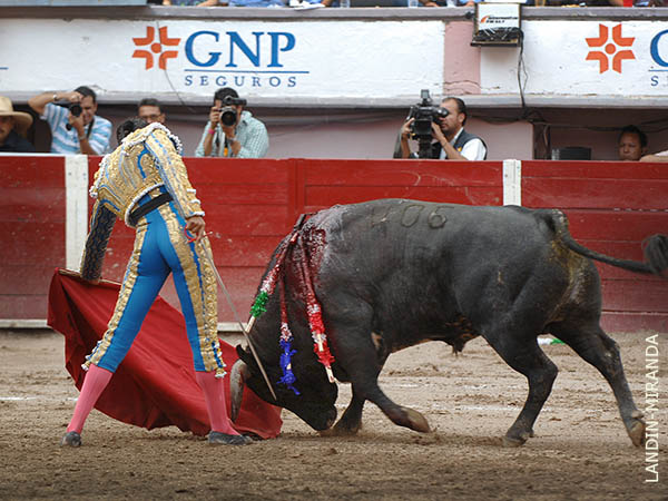 Llev�ndolo toreado