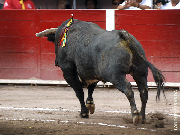 Salta el tercero a la arena