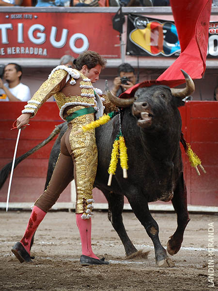 No lo dej� a su aire