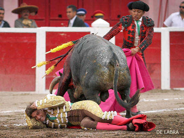 Quite oportuno de Guerrero (JAL)