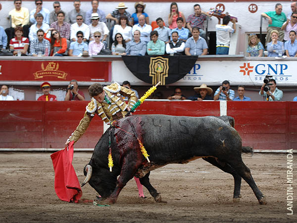 Entendi� muy bien los terrenos