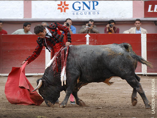 Sin moverse de la boca de riego