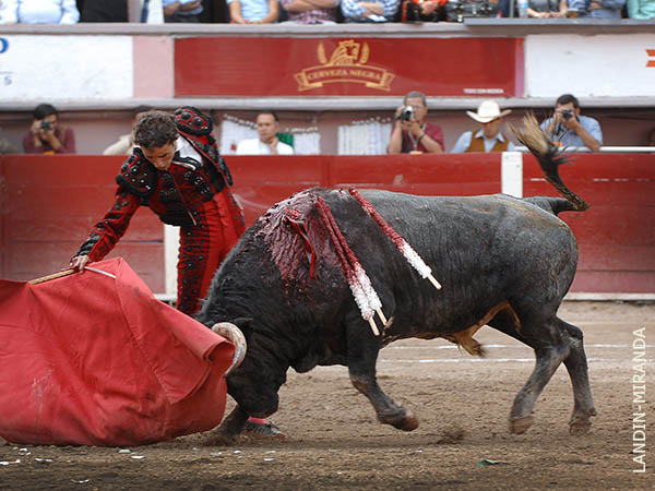 Enfibrado en los medios